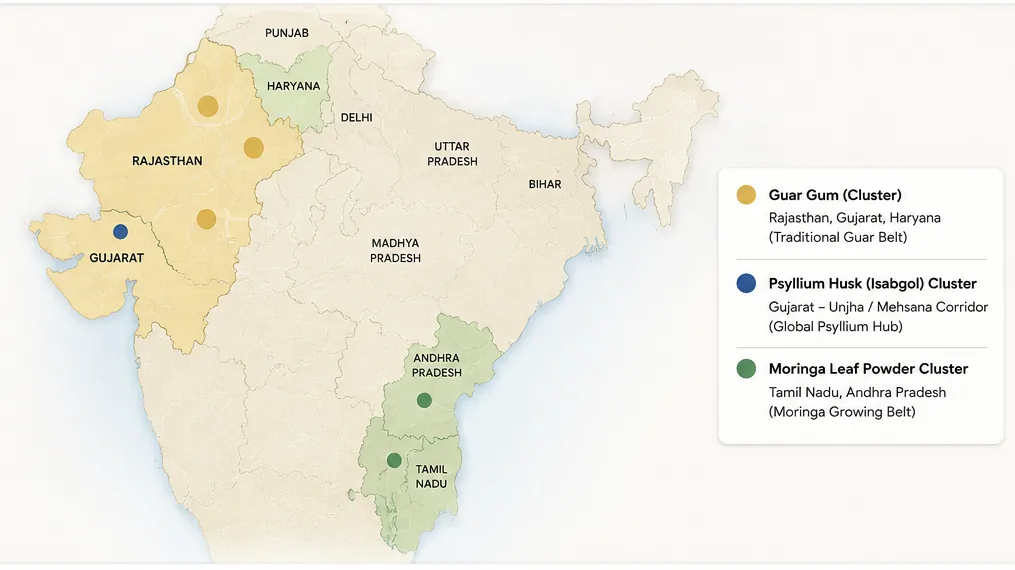 Map of India highlighting the traditional guar belt across Rajasthan, Gujarat and Haryana, the Gujarat psyllium hub around Unjha and Mehsana, and moringa growing regions in Tamil Nadu and Andhra Pradesh